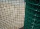 Bahçe Koruma Bariyeri için 4ft X 50ft PVC Kaplı Kaynaklı Hasır Rulolar