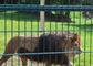 Paslanmayan Kaynaklı Çelik Hasır Hayvanat Bahçesi Hayvan Muhafaza Hasır 10m-30m