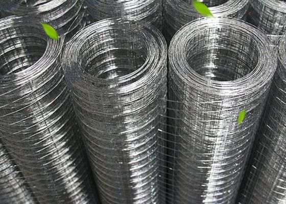 Aviaries 30M Uzunluklu Kaynatılmış Tel Ağı Ruloları Sıcak Dip Galvanize Yüzey Bitirme Tedavisi ile