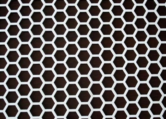 Anodizasyon Alüminyum Perforasyonlu Ağ Yaprakları Çukur Boyutu 0.1mm'den 100mm'ye kadar