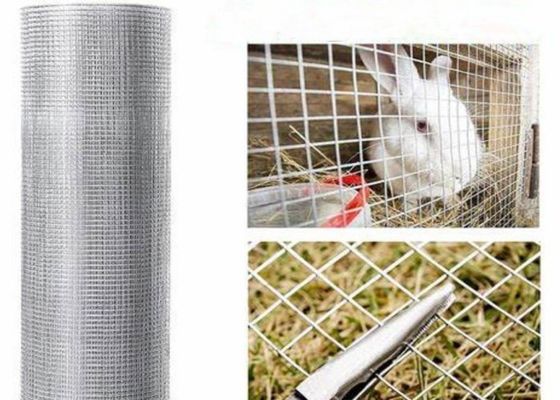 15m 20m 30m Paslanmaz Çelik Kaynaklı Tel Örgü Tavuk Kafesi veya Çit Olarak Kullanılır