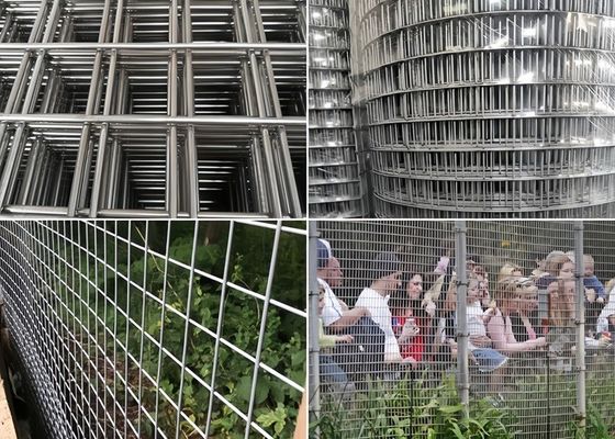 Yüksek korozyona dayanıklı kaynaklı örgü ruloları Dayanıklı Çeşitli renkler