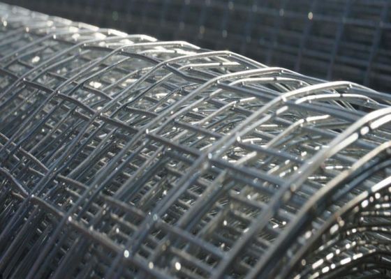 1mm-3mm Sıcak Daldırma Galvanizli Kaynaklı Hasır Hayvan Kafesi Hasır Paslanmaz